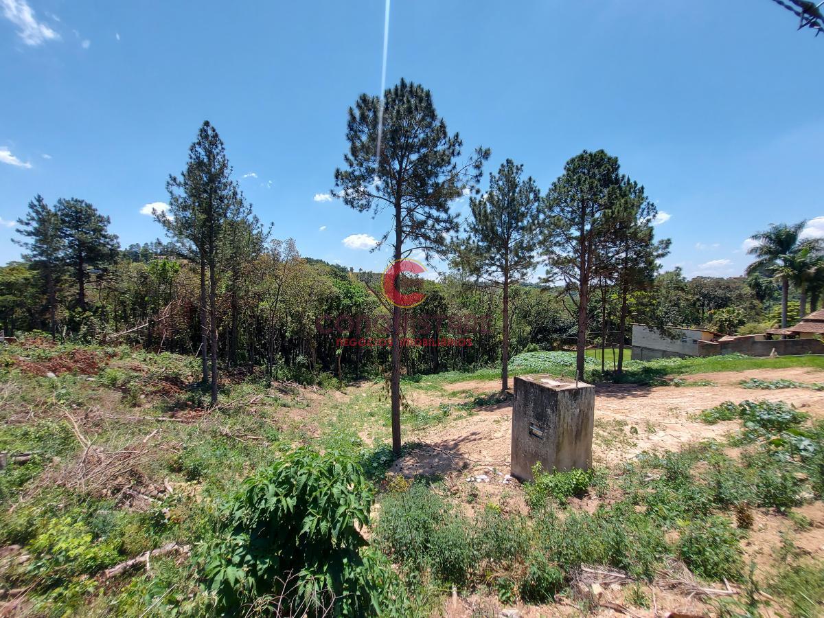 Terreno à venda, 3900m² - Foto 4