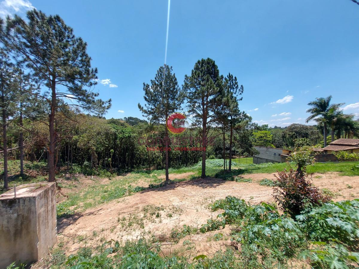 Terreno à venda, 7800m² - Foto 8