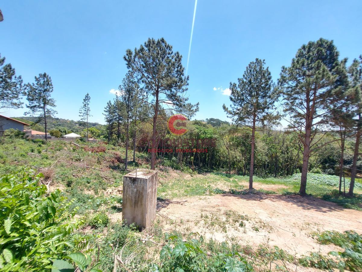 Terreno à venda, 7800m² - Foto 15